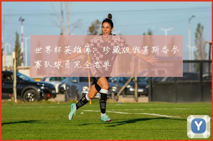 世界杯英雄簿:珍藏版俄罗斯各参赛队球员完全名单