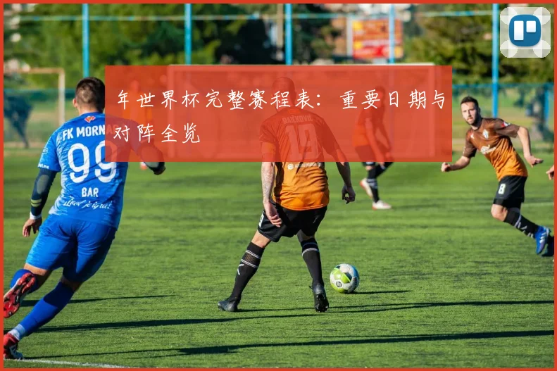 年世界杯完整赛程表：重要日期与对阵全览