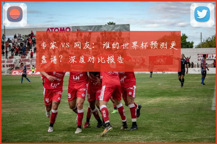 专家 vs 网友：谁的世界杯预测更靠谱？深度对比报告