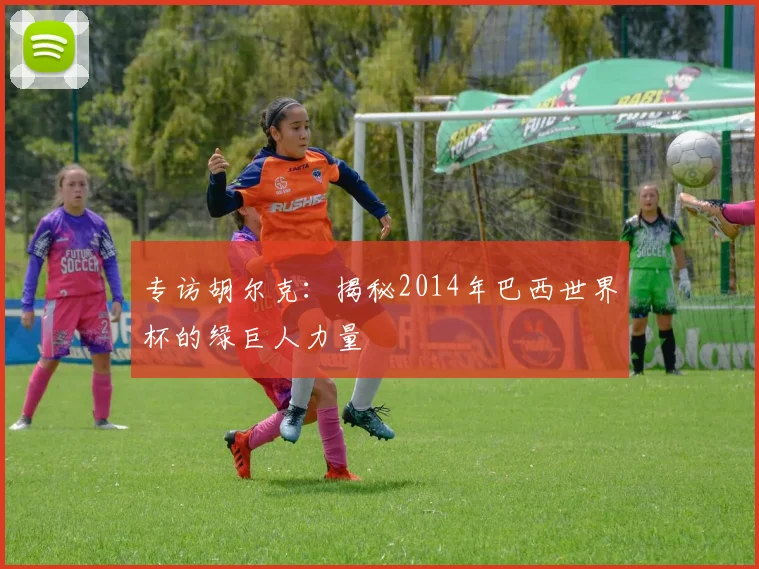 专访胡尔克:揭秘2014年巴西世界杯的绿巨人力量