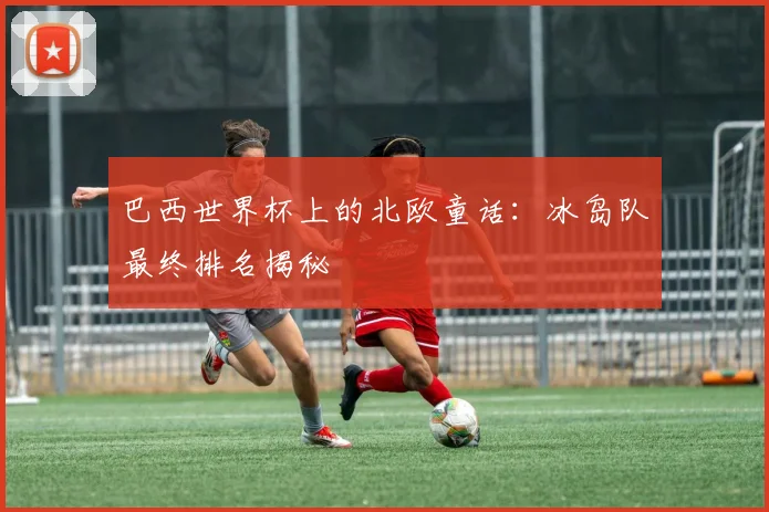 巴西世界杯上的北欧童话：冰岛队最终排名揭秘