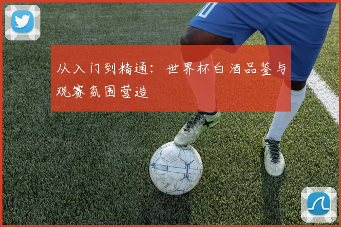 从入门到精通：世界杯白酒品鉴与观赛氛围营造